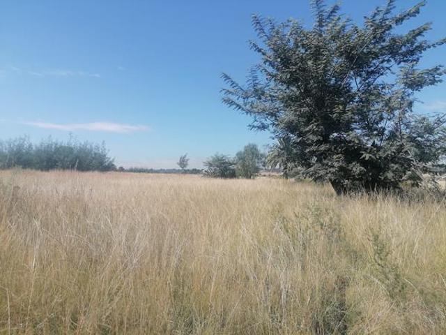9.6 ha Land available in Walkerville