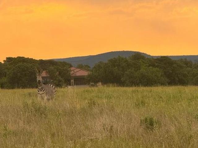 9 856 m² Land available in Swartruggens