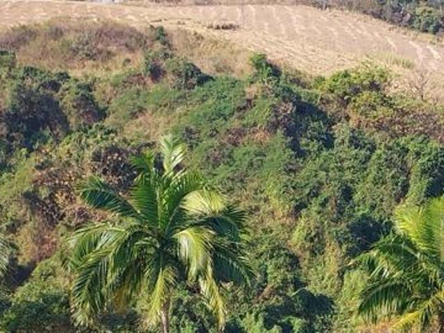 9 870 m² Land available in Elysium
