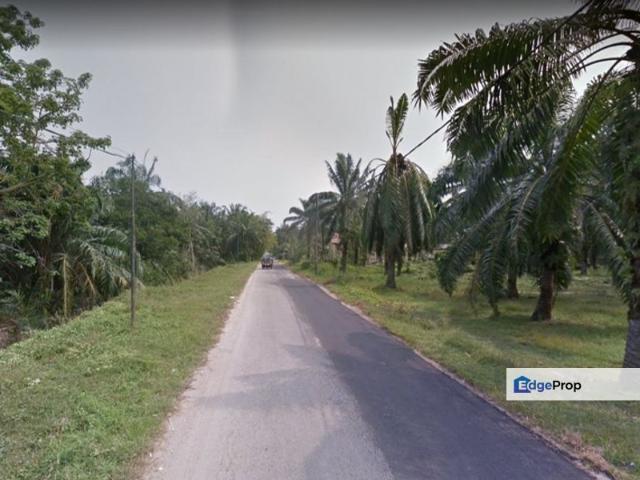 9.8 Acres Agricultural Banting, Kuala Langat Land For Sale