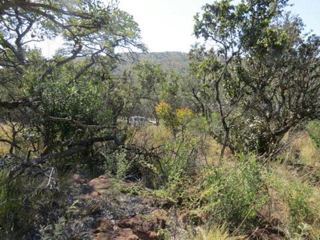9 990 m² Land available in Modimole Nylstroom
