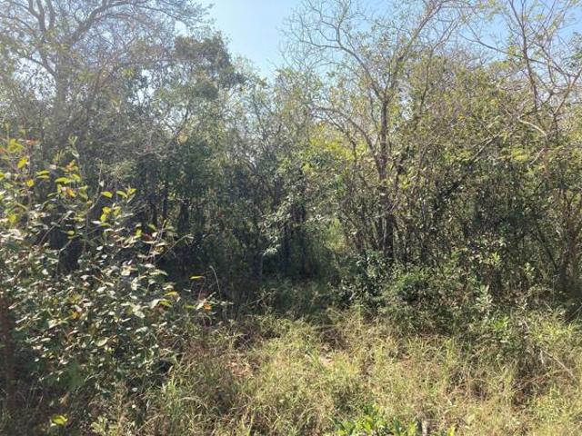 9 935 m² Land available in Moditlo Wildlife Estate