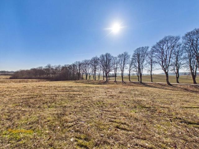 9A 5 612 m², Płocie