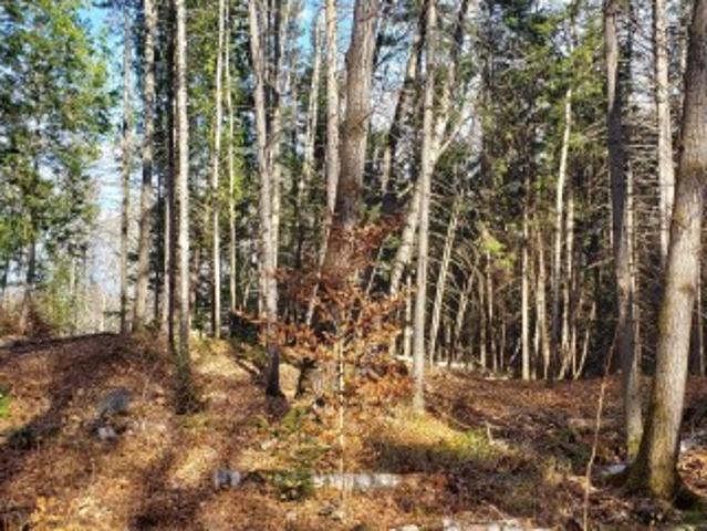 9E Rang, Saint Côme, QC, J0K 2B0 vacant land for sale | Listing ID 16644 | Royal LePage