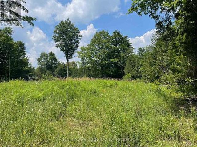 00000 Penny Lane, Grey Highlands, ON, N0C 1E0 vacant land for sale | Listing ID X12293 | Royal LePage