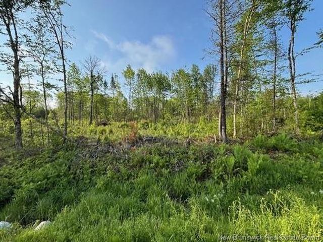 000 Upper Tower Hill Rd, Tower Hill, NB, E5A 2P3 vacant land for sale | Listing ID NB120589 | Royal LePage