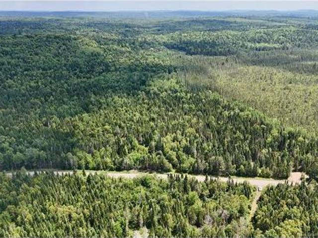 00 740 Rte, Basswood Ridge, NB, E3L 5A8 vacant land for sale | Listing ID NB123251 | Royal LePage