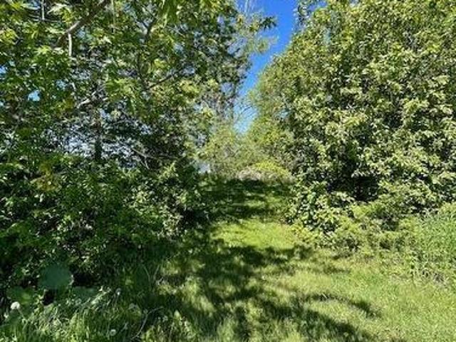 00 10Th Line Road, Frontenac Islands Wolfe Island, ON, K0H 2Y0 vacant land for sale | Listing ID X13411 | Royal LePage