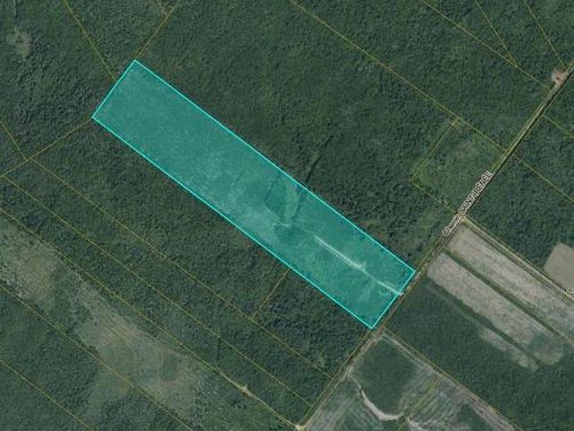 00 Woodlot Chemin Saint Irenee, Saint Maurice, NB, E4S 5E7 vacant land for sale | Listing ID NB136294 | Royal LePage