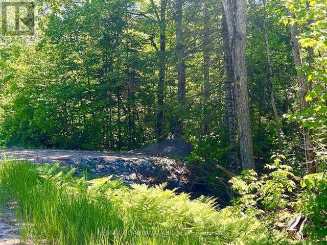 00 Buckshot Lake Road, Addington Highlands, ON, K0H 1K0 vacant land for sale | Listing ID X13423 | Royal LePage