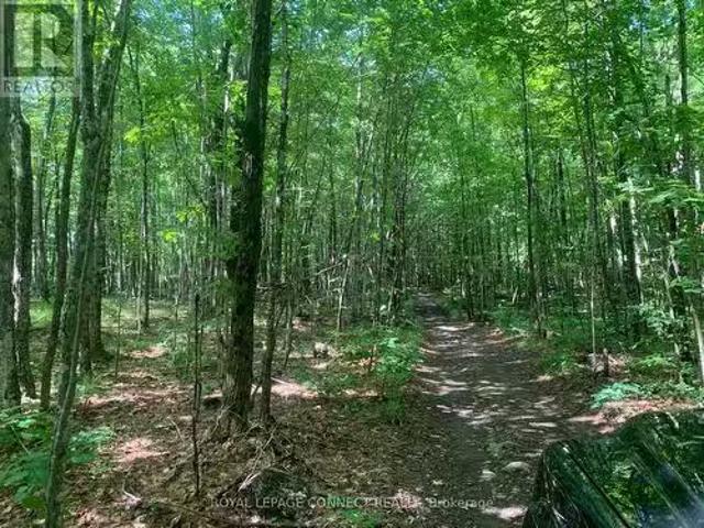 00 Clareview Road, Stone Mills, ON, K0K 2A0 vacant land for.