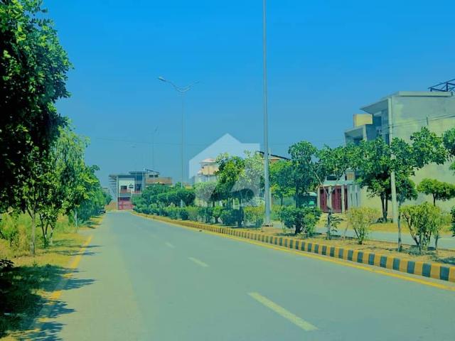 01 kanal good location plot available for sale in regi model town zone 1 / sector d3