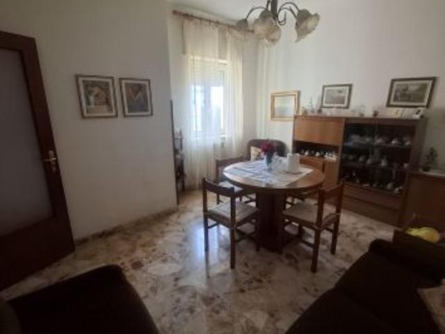 026 trivani