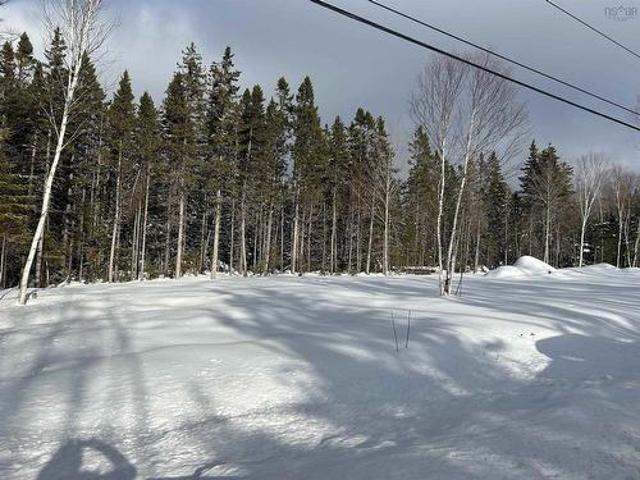 0 Meadows Road, Sydney Forks, NS, B1L 1A1 vacant land for sale | Listing ID 202603 | Royal LePage