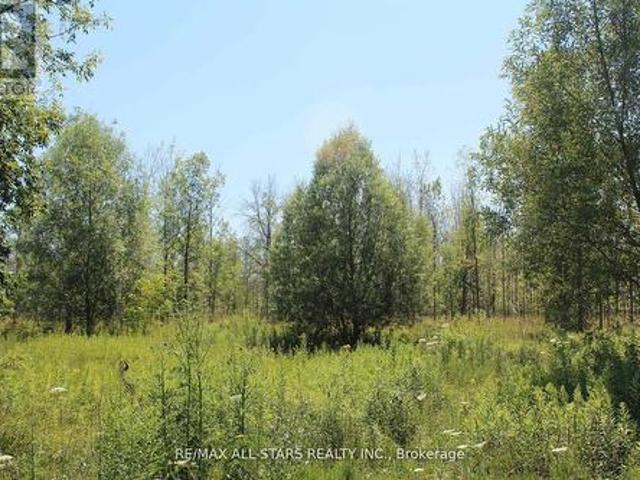 0 Metro Road, Georgina, ON, L4P 3G1 vacant land for sale | Listing ID N12893 | Royal LePage