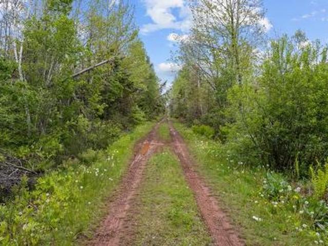 0 Adams Road, Fanning Brook, PE, C0A 1T0 vacant land for sale | Listing ID 202617 | Royal LePage