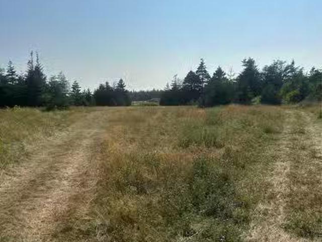 0 Beaver Pond Road Road, Roaches Line, NL, A0A 1W0 vacant la.
