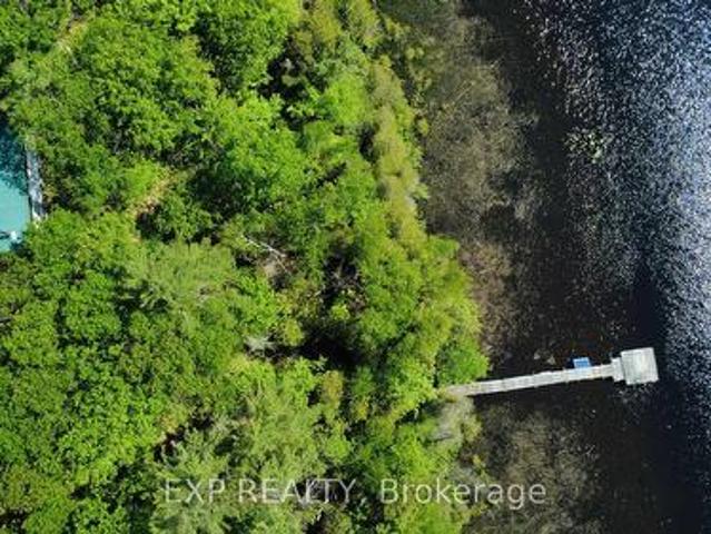 0 Betty Court, Wollaston, ON, K0L 1P0 house for sale | Listing ID X13449 | Royal LePage