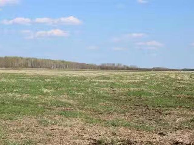 0 Cedar Lake Road, Vivian, MB, R5L 0A3 farm for sale Listin.