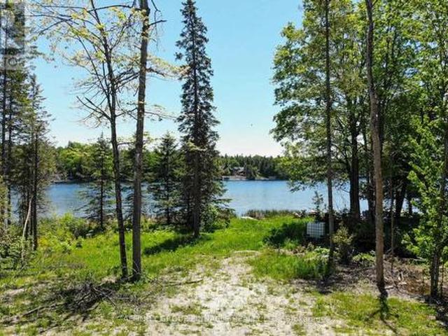 0 Pearce Road, Kawartha Lakes Bexley, ON, K0M 2B0 vacant land for sale | Listing ID X13438 | Royal LePage