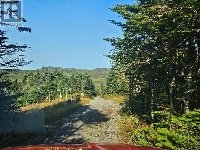 0 Prairie Hill Garnish Pond Rd Road, Marystown, NL A0E2M0 House For Sale | RE/MAX | 1289