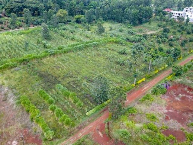 0.25 acres vacant land for sale in Thika Kenya 3KE1643