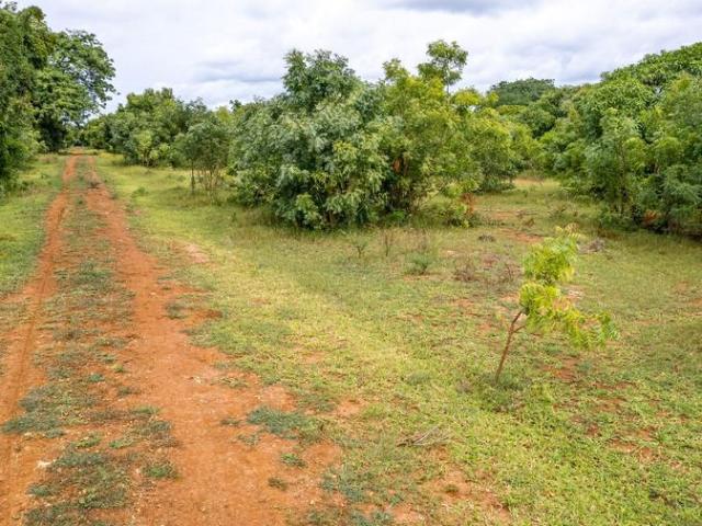 0.25 acres vacant land for sale in Vipingo Kenya 3KE1666