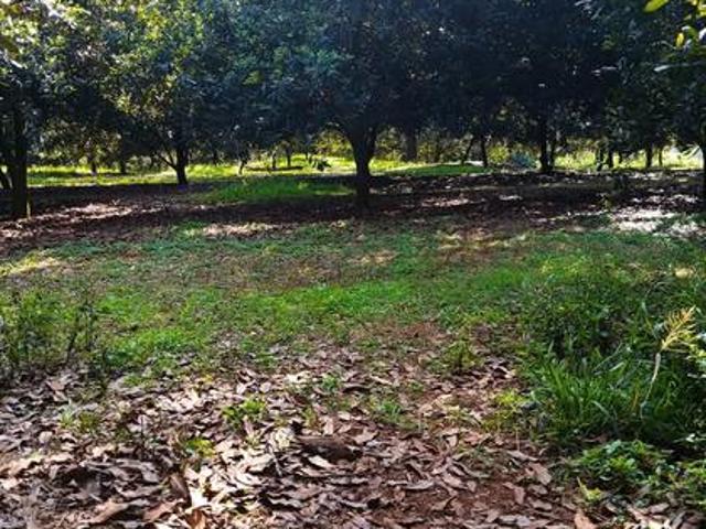 0.25 vantage view estate Opposite Zuri Springs