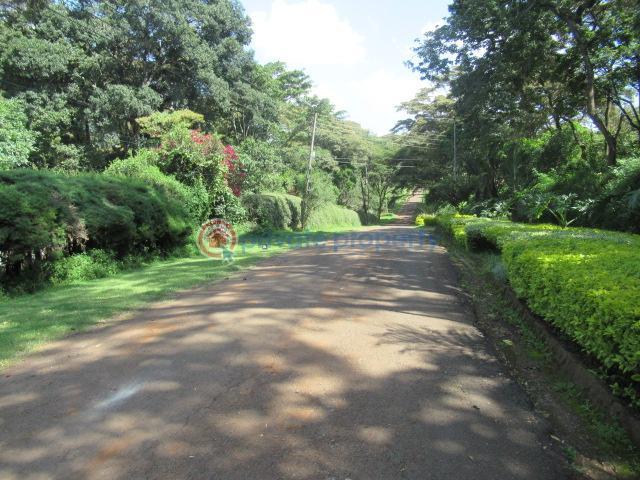 0.5 Acre Plot For Sale In Karen Mwitu Estate