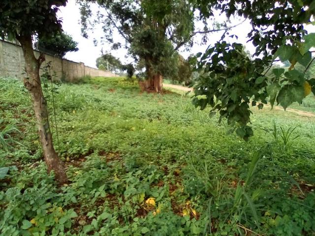 0.5 Acre Plots For Sale in New Rosslyn/Nyari