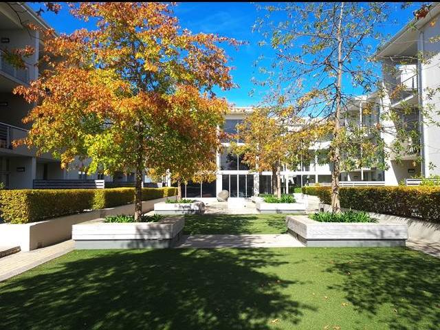 0.5 bed property to rent in stellenbosch central