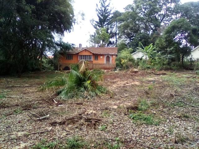 0.781 Acre Plot For Sale in Lavington