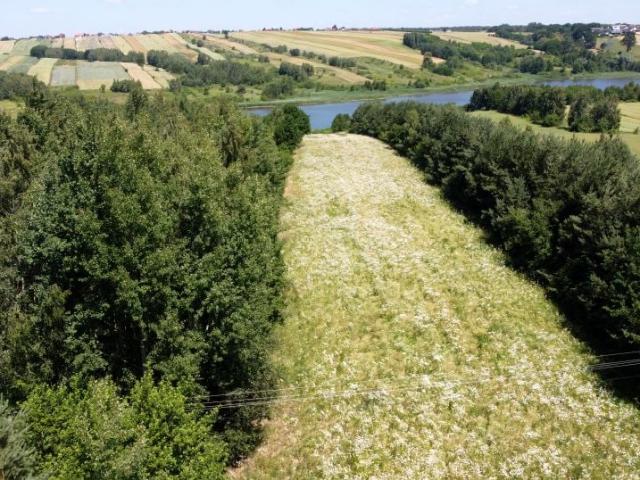 0 7 371 m², Bukówka
