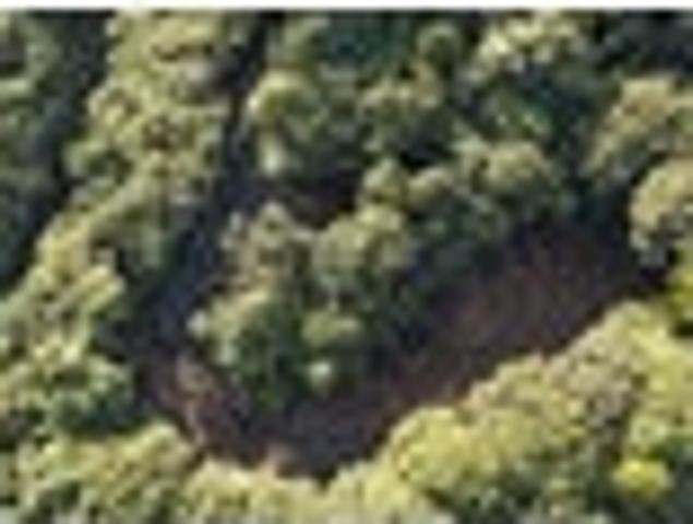 13 Acres of Pristine Lifestyle Land Karekare