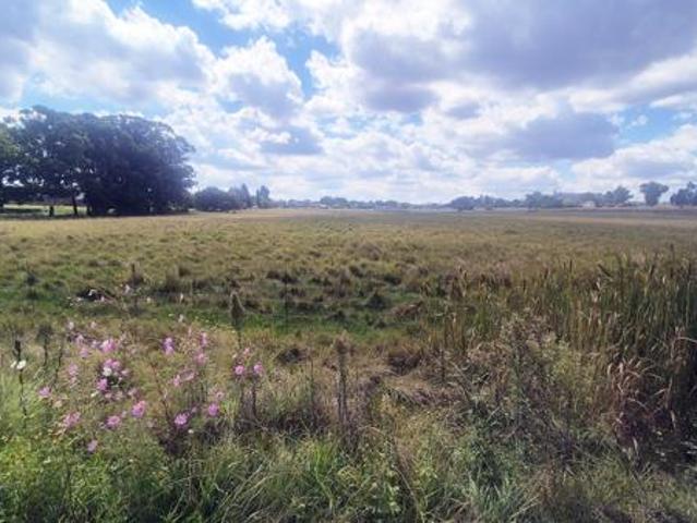 17.7 ha Land available in Bethal