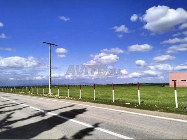 13 hectares à vendre