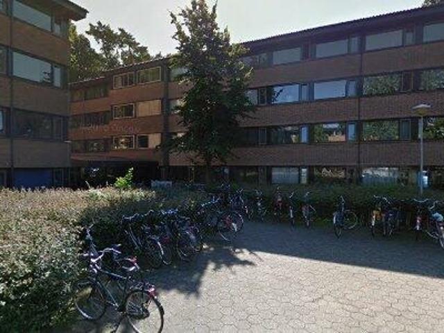 13 m2 room for rent in Nijmegen