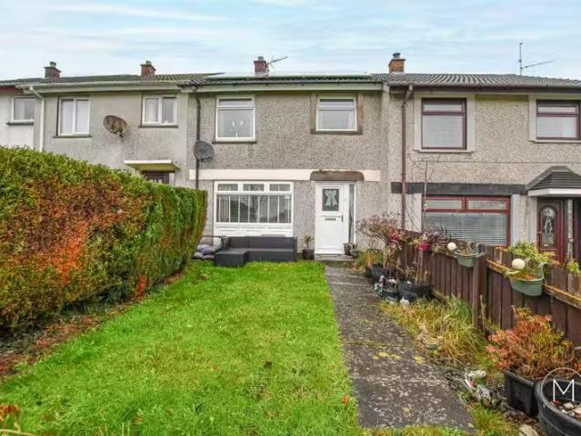 13 Maplehill