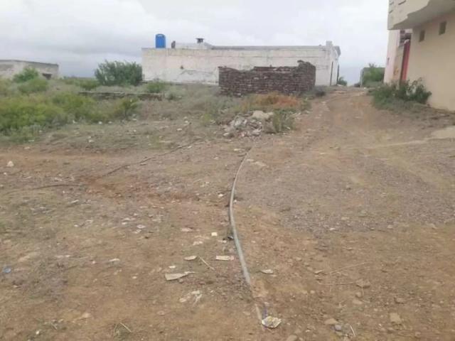 13 marla polt. Near fathma janha park Dera Ghazi Khan ID 16694