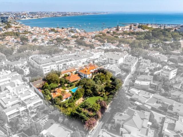 13 quarto, Cascais Cascais 96062248