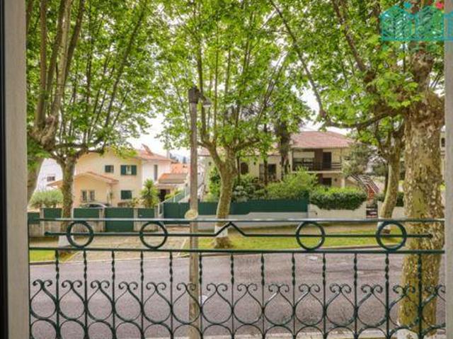 13 quarto, Anadia Aveiro 91311296