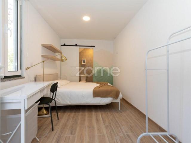 13 quarto, Anadia Anadia 87043886