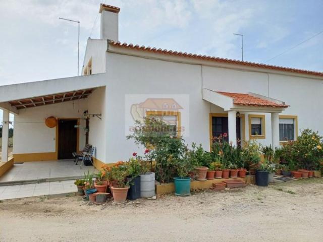 13 quarto, Grândola Grândola 103135627