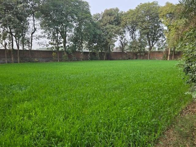10000 Sq.Yd. Plot in Dholera Ahmedabad Listing ID: #9979