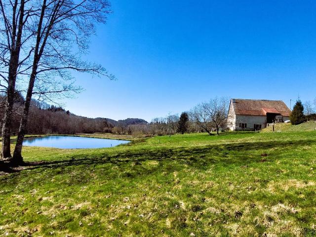 1000 Etangs sect. Corravillers 70310 1,8 ha + 1Ha Tran. 160m² Le thillot