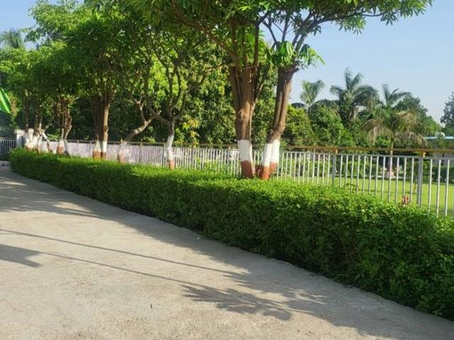 1000 Sq.Ft. Plot in Chunar Mirzapur Listing ID: #10421