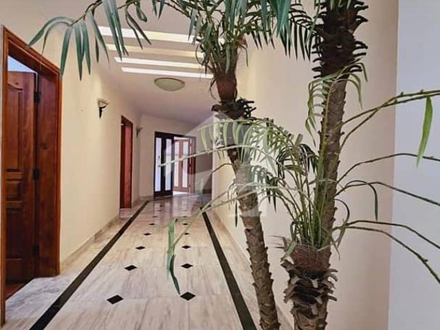 1000 Sq Yard House Available For Rent At DHA Phase 6