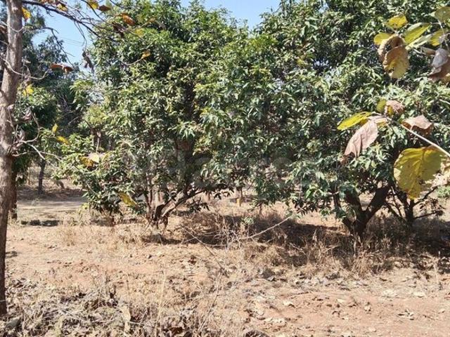 1000 Sq.Yd. Plot in Chilkur Hyderabad Listing ID: #10397