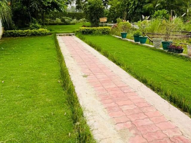 1000 Sq.Yd. Plot in Arjunganj Lucknow Listing ID: #9958
