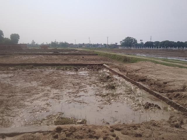 1000 Sq.Yd. Plot in Nh 24 Gorakhpur Listing ID: #8882